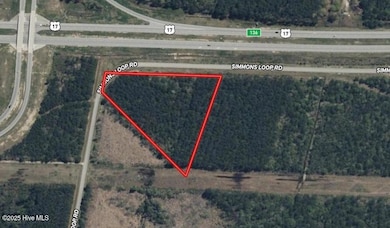 0 U S 17, New Bern, NC 28562 - photo 3