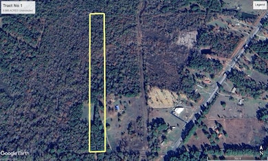 Tract No 1 County Road 3150, Deberry, TX 75639 - photo 3