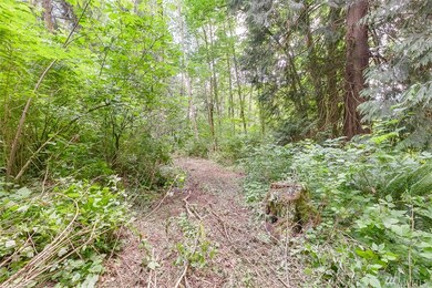 0 317th St NW, Stanwood, WA 98292 - photo 4