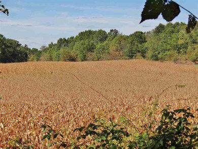 119.1 Ac Old Hwy 81, Argyle, WI 53504 - photo 4