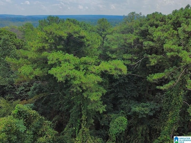 4251 Cedar St unit 1, Irondale, AL 35210 - photo 5