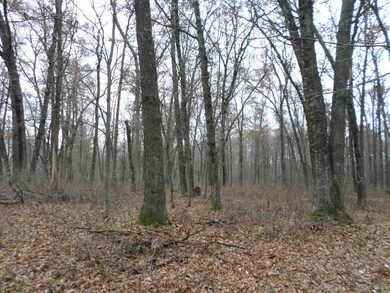 20 Ac 22nd St, Camp Douglas, WI 54618 - photo 5