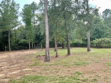 26023 Rolling Forest Ln, Hockley, TX 77447 - photo 5