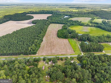 0 Fabled Ln unit LOT 4, Pembroke, GA 31321 - photo 3