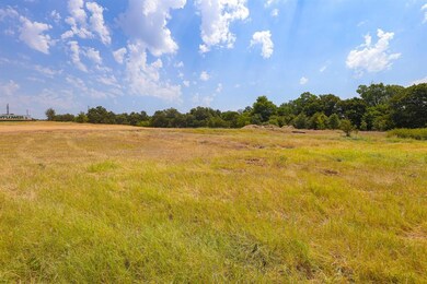 Lot 14 Aslan Rd, Poolville, TX 76487 - photo 4