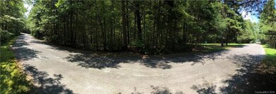 Panoramic View of both Lots at road. Ribbons on tr