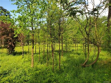 4200 Jefferson Park Rd, Prince George, VA 23875 - photo 4