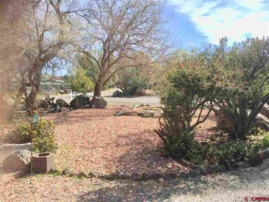 0 SW 8th Cir, Cedaredge, CO 81413 - photo 4