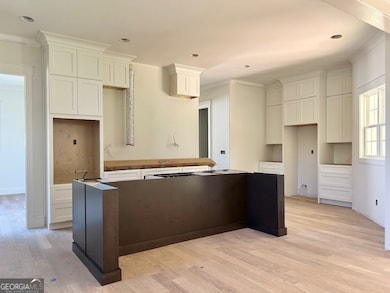 198 N Shore at Redwine Dr, Newnan, GA 30263 - photo 6