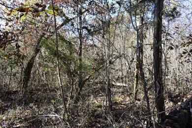 _DSC0011