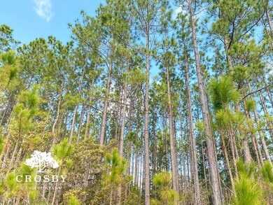 0 Cecil Nobles Hwy unit 22674528, Ludowici, GA 31316 - photo 4