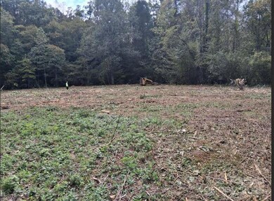 tbd 4 Morgan Lake Rd unit 4, Marion, NC 28752 - photo 3