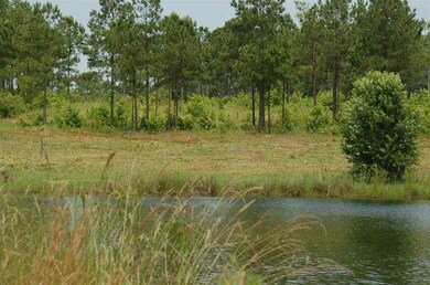0 Bond Rd unit ACREAGE 281563, Cairo, GA 39828 - photo 5