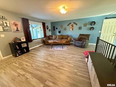 230 N Shore Dr, Petersburg, IL 62675 - photo 4