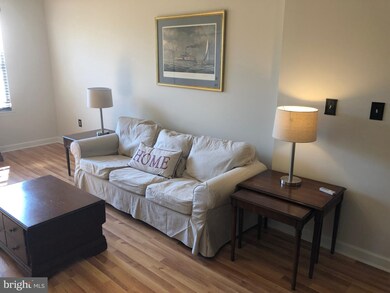 22579 Blue Elder Terrace, Ashburn, VA 20148 - photo 5