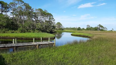 2970 Pristine Dr, Carrabelle, FL 32322 - photo 7