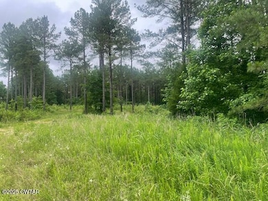 0 Bartlett Rd unit 2502351, Reagan, TN 38368 - photo 4