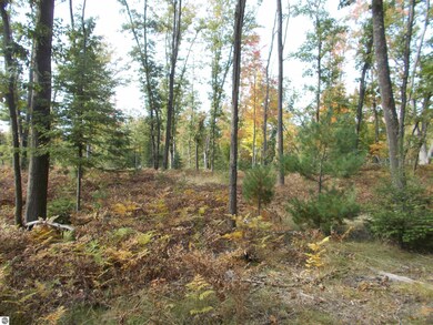 6004 M 55, Whittemore, MI 48770 - photo 4