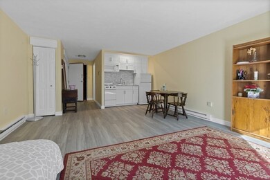 60 Greentree Ln unit 45, South Weymouth, MA 02190 - photo 5