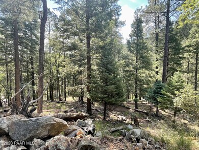 334x E Sheldon Rd, Prescott, AZ 86303 - photo 5