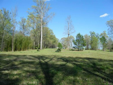 1835 Braden Rd, Mason, TN 38049 - photo 2