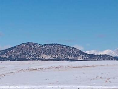 0 Raven Ln unit S1040890, Hartsel, CO 80449 - photo 5