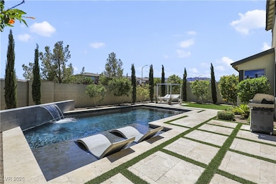 Custom Pool with Baja Shelf and Water Feature