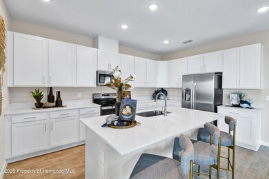 9253 Players Dr, Weeki Wachee, FL 34613 - photo 6