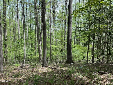 TBD Highland St SE, Wise, VA 24293 - photo 7