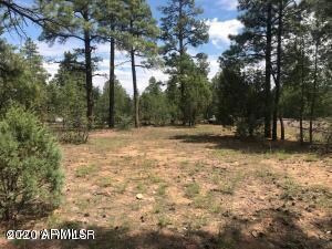 360 Aspen Way unit 207, Show Low, AZ 85901 - photo 7