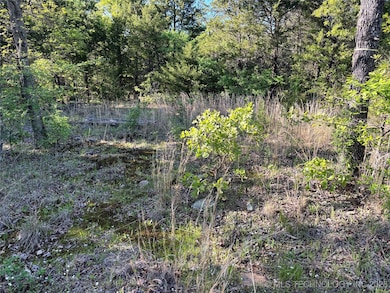 100752 S 4497 Rd, Vian, OK 74962 - photo 4