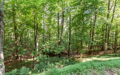 Additional View