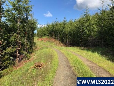 0 Old Military (Frontage) Rd unit 792803, Dallas, OR 97338 - photo 6