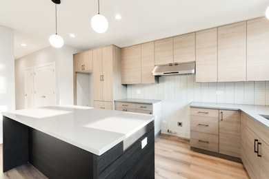 4167 S Halsted St, Chicago, IL 60609 - photo 4