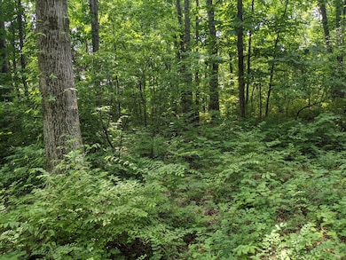 0 Bluff Rd unit RTC2823780, Brentwood, TN 37027 - photo 2