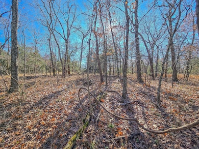 000 County Road 292a, Pittsburg, MO 65724 - photo 6