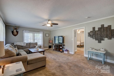 951 Evans Mill Rd, Pageland, SC 29728 - photo 3