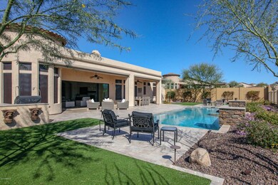 Backyard2