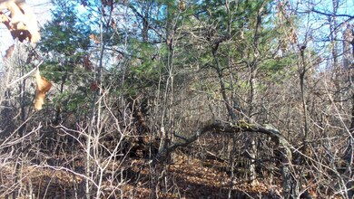 Lot 2 Ferry Rd, Grantsburg Township, WI 54840 - photo 6