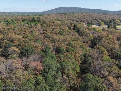 TBD Rural Property, Leflore, OK 74942 - photo 6