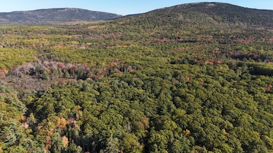 oak hill with meadow