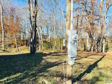 627 Neel School Rd, Danville, AL 35619 - photo 5