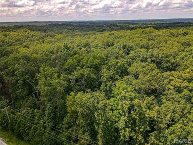 1855 Hendricks Rd, Robertsville, MO 63072 - photo 4