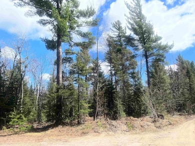 480 Acres Off Cr Aaa Rd, Michigamme, MI 49861 - photo 2