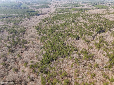 889 Fuller Cemetery E-2 Rd, Minden, LA 71055 - photo 5