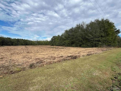 Lot 1 Freemanville Dr, Atmore, AL 36502 - photo 4