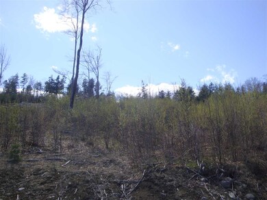 Lot 7 Old Fields Rd, Groton, NH 03241 - photo 2