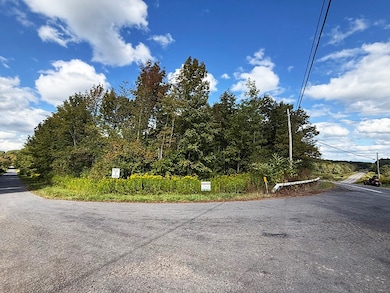 L 7 Thayer Rd & St Hwy 80, Hartwick, NY 13348 - photo 2