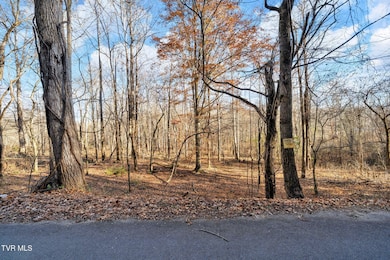 Tbd McInturff Springs Rd, Erwin, TN 37650 - photo 7