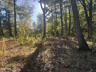 2482 Troy Schenectady Rd, Niskayuna, NY 12309 - photo 3